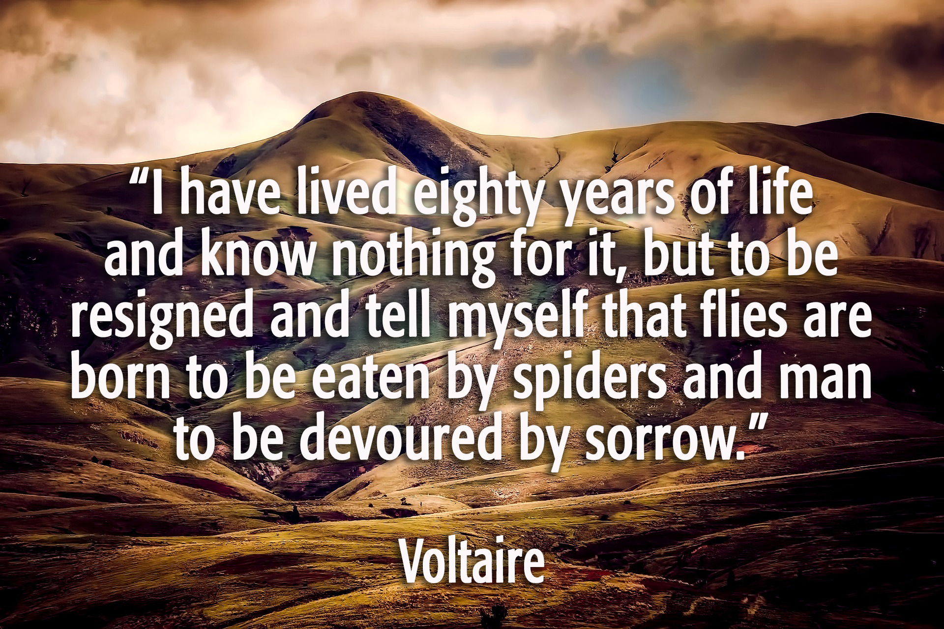 VoltaireECCLESIASTES